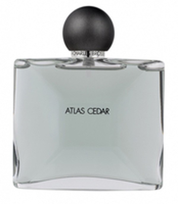Collection Homme / Atlas Cedar EDT 100 ml spray