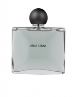 Collection Homme / The Brun EDT 50 ml spray